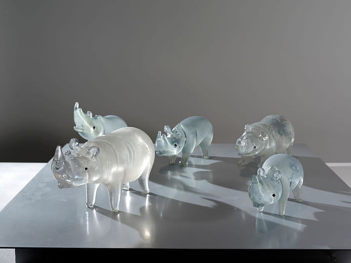 犀望 Rhinoceros Hope