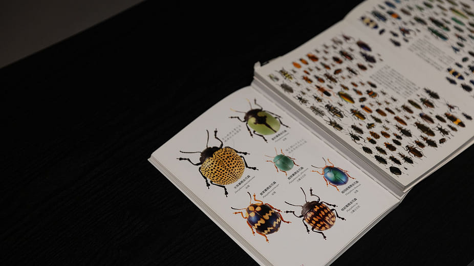 昆蟲圖鑑百科 Insect Encyclopedia