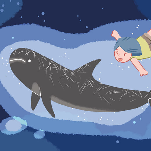 那一片海洋綠洲