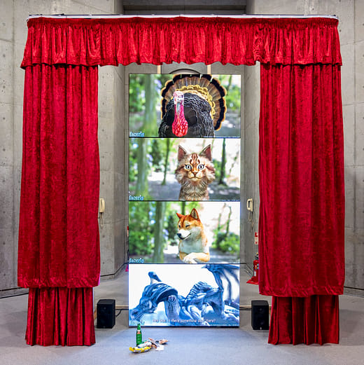 山內祥太 Shota Yamauchi