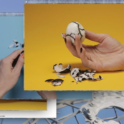 卡蜜兒．安侯  Camille Henrot