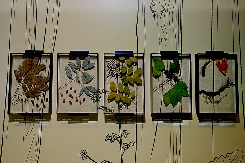 Find out your prey’s favorite food