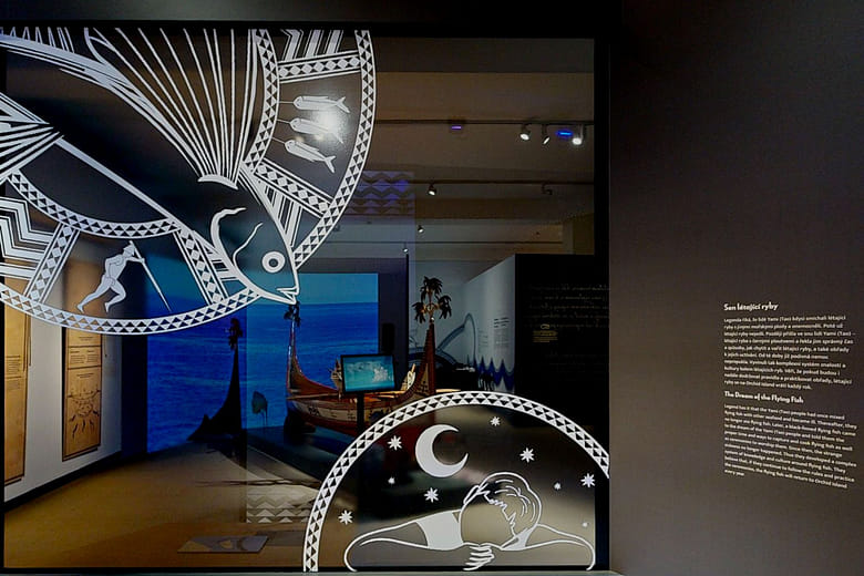 The Dream of the Flying Fish