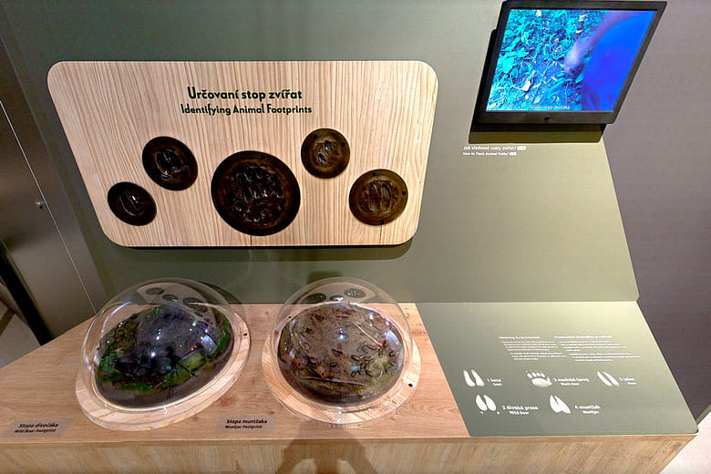 Observing the Environment