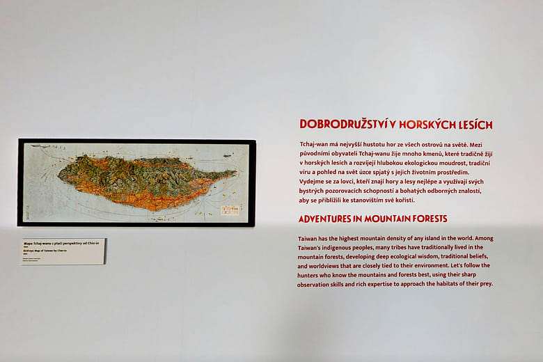 Adventures in Mountain Forests