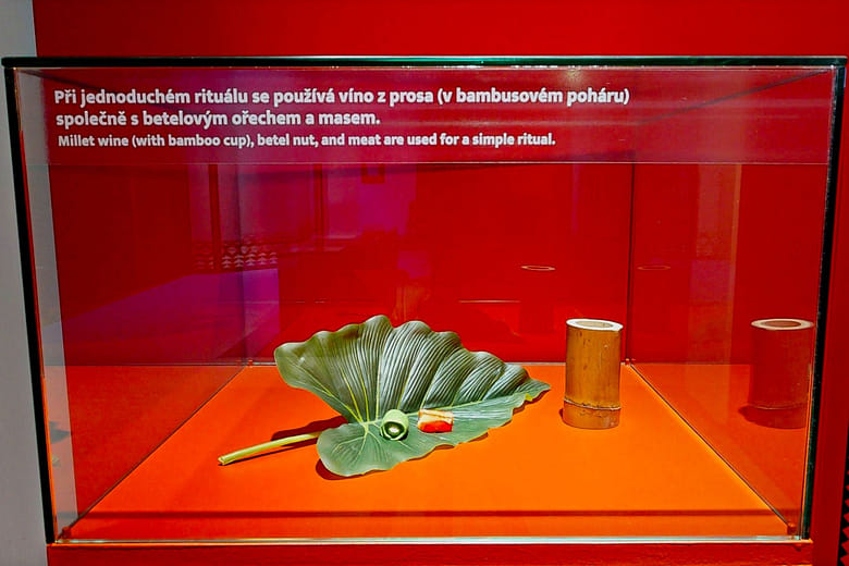 Dialogue with the Ancestral Spirits