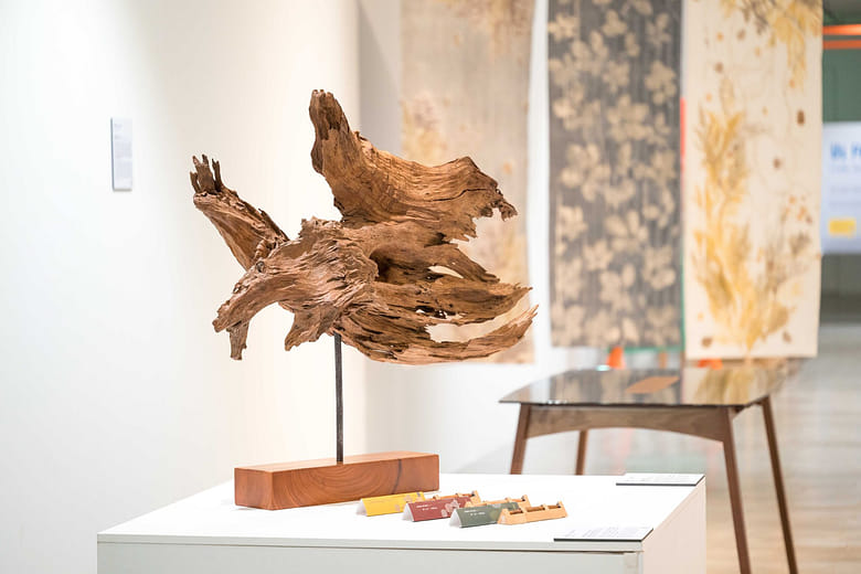 心舟─靜謐與動感的融合 The Voyage of the Rewoodened Heart