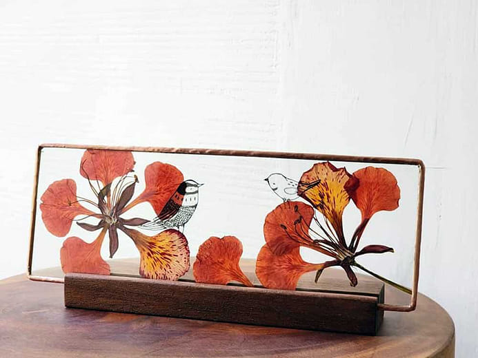 鳳凰記憶 Poinciana Memory