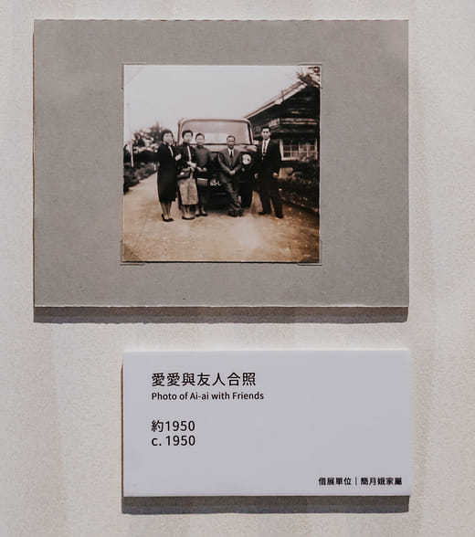 Photo of Ai-ai with Friends