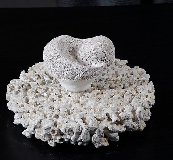 珊瑚島 Coral Island