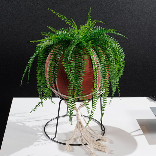 籃球盆栽  Basketball Planter