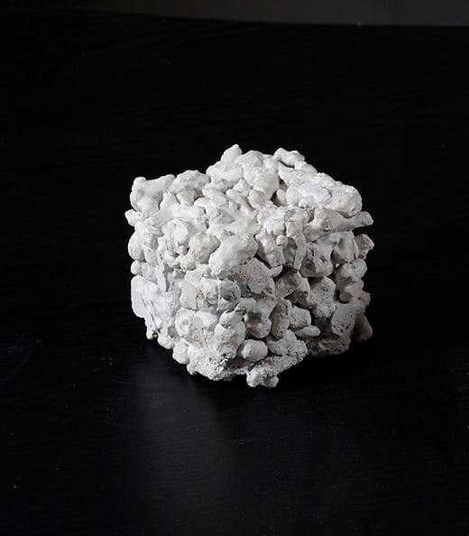 新咕咾石牆——砂砱試體 New Coral Stone Wall—Coral Greef Prototype