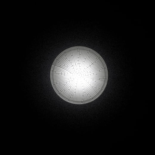 數位自然：仿生葉脈紋理之機器人減材製造工藝  Biomimicry Aesthetics: Robotic Subtractive Fabrication of Leaf Venation