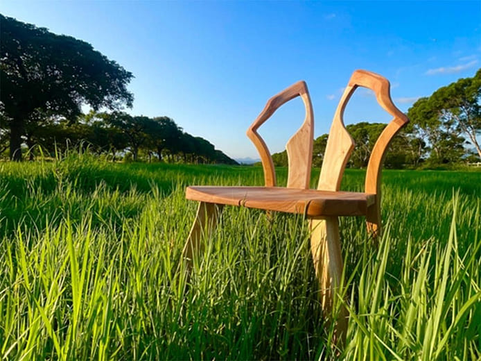 蝴蝶椅 Butterfly Chair