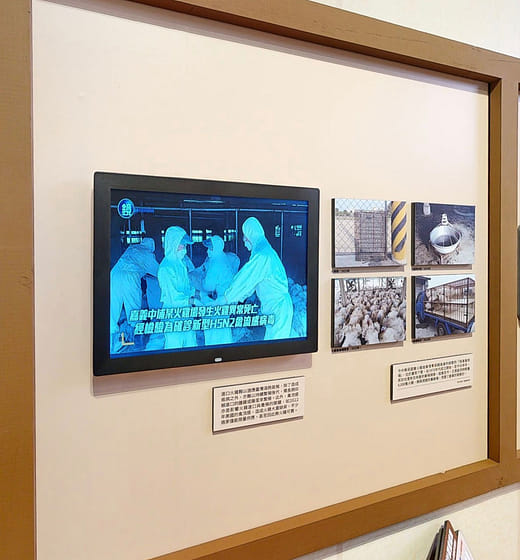 火雞養殖產業的發展