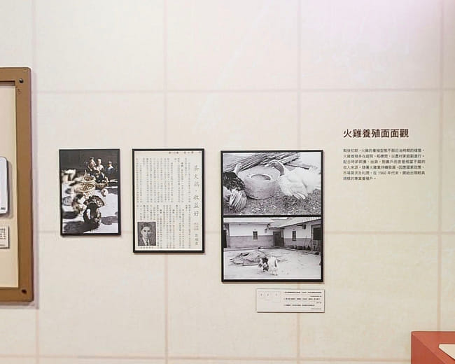 火雞養殖面面觀