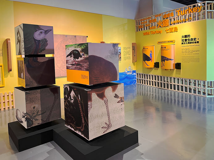 走進鄰家後院的禽鳥—旋轉方塊裝置