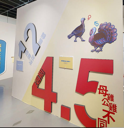 數字解碼「12」「4.5」