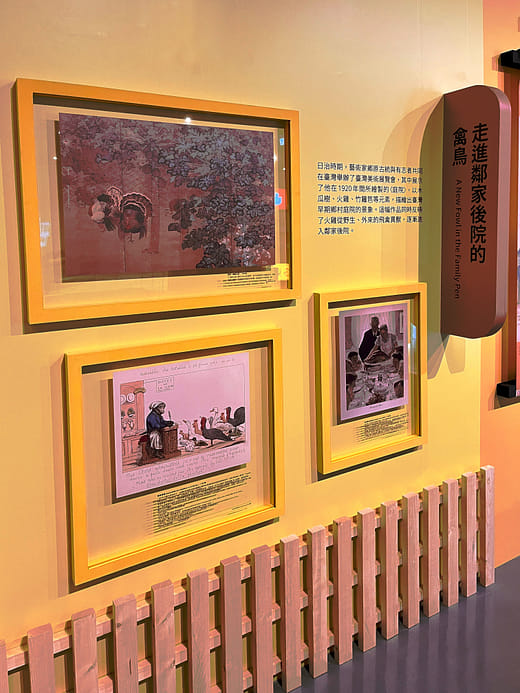 走進鄰家後院的禽鳥