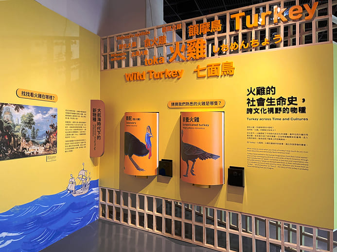 展區主題｜火雞的社會生命史，跨文化視野的物種