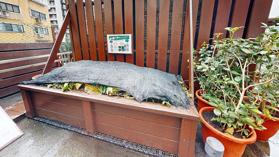 都市中的常見動物