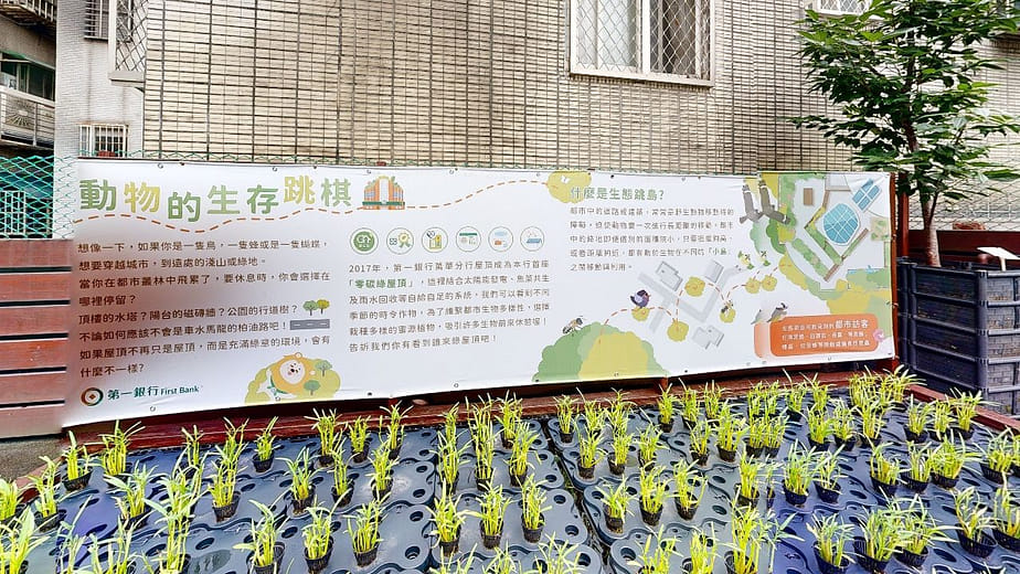 動植物的生物多樣性