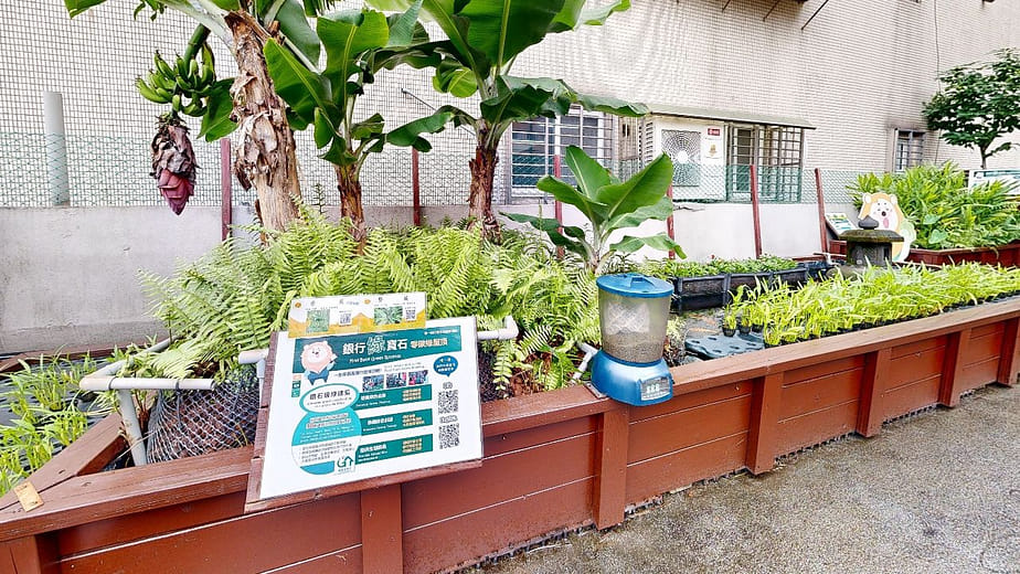 銀行和綠屋頂的減碳關係