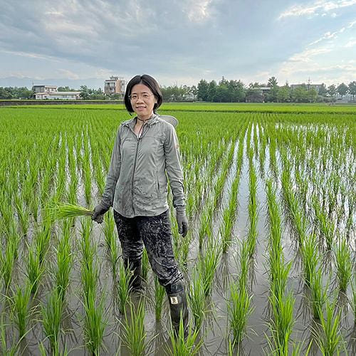 一坪地主 留土不留房