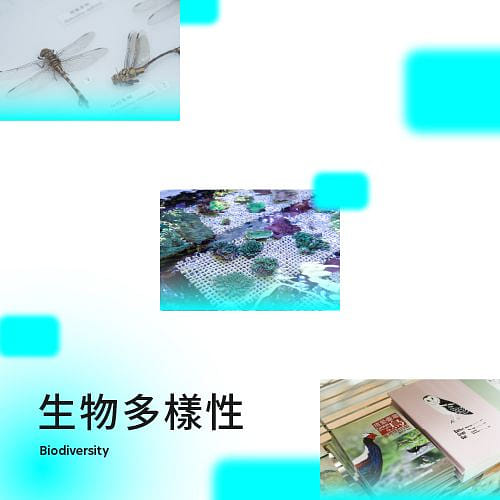 生物多樣性