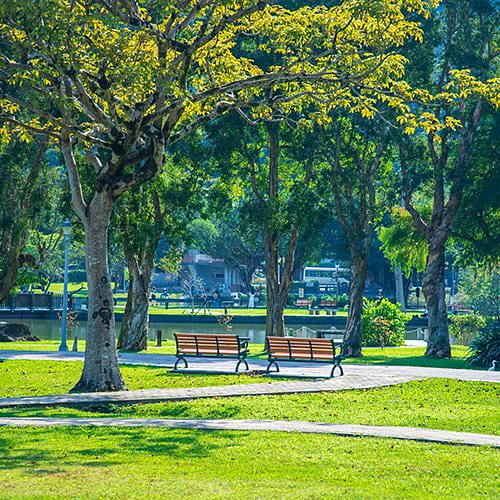 躲不過都市熱島效應？台大教授石婉瑜：善用城市自然條件降溫