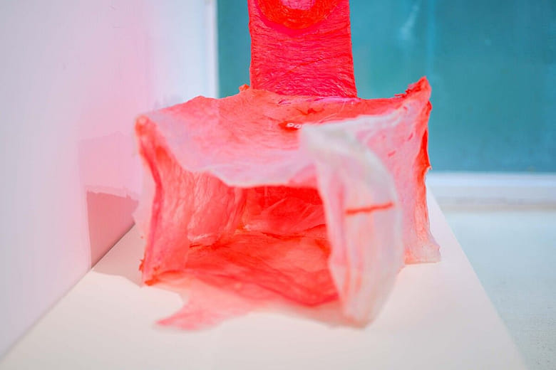 日光：《7305日》