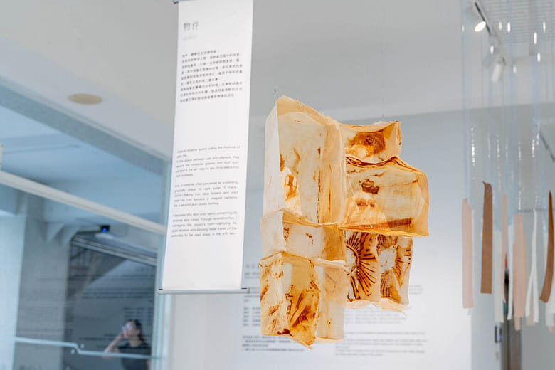 物件：《脫皮》