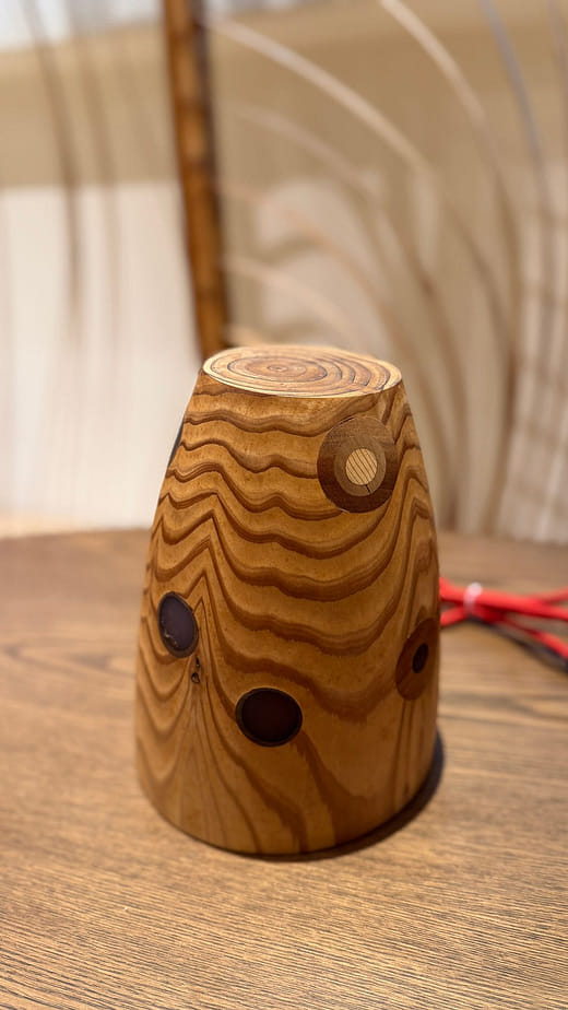 不可忽視的存在