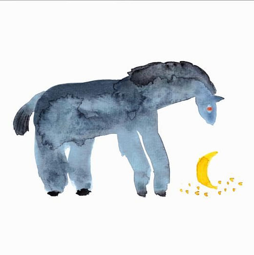 《平凡而可愛的每一天》Not Special, Lovely Everyday