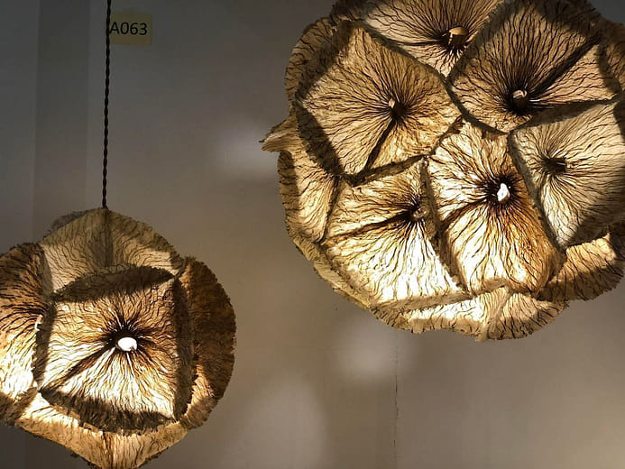 構樹印跡 A Step of PaperMulberry