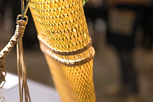 Stepping into a Spring Forest