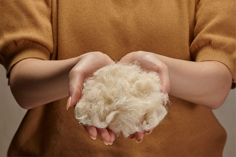 鳳梨纖維綠時尚