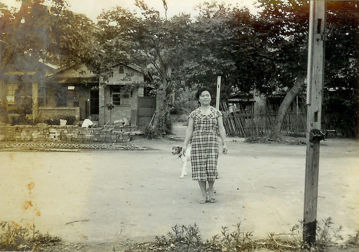 Build More Rooms When Needed! Houses Growing Bigger with the Families