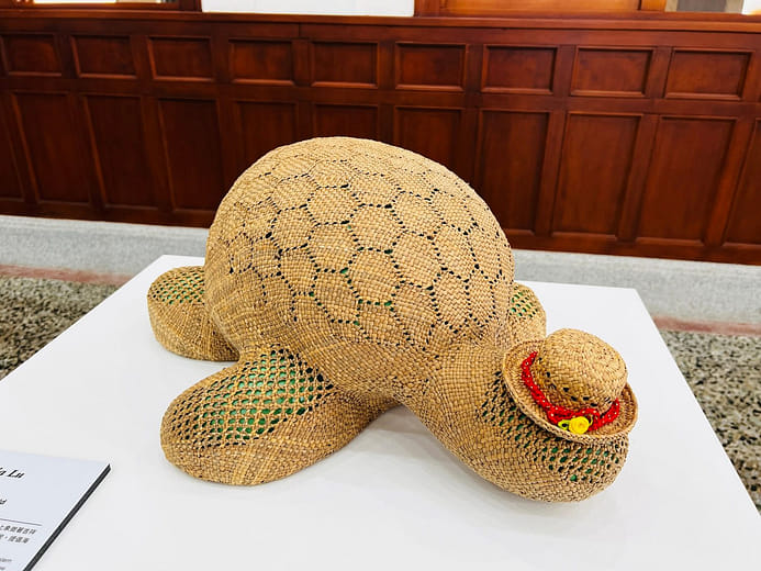 蠵游世界 Turtle Traveling in the World