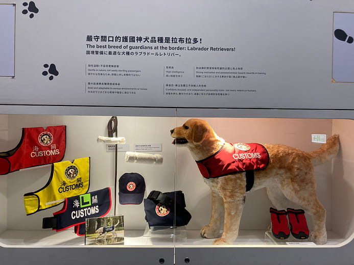 Customs Narcotics Detector Dog