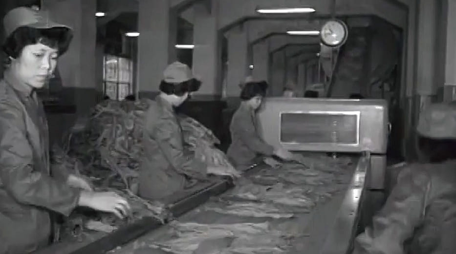 松山菸廠巡禮 A Tour of the Songshan Tobacco Factory