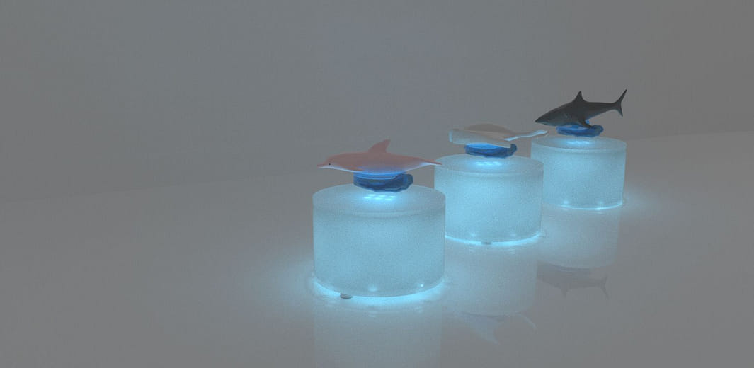 比粼 - The Non-swimmer