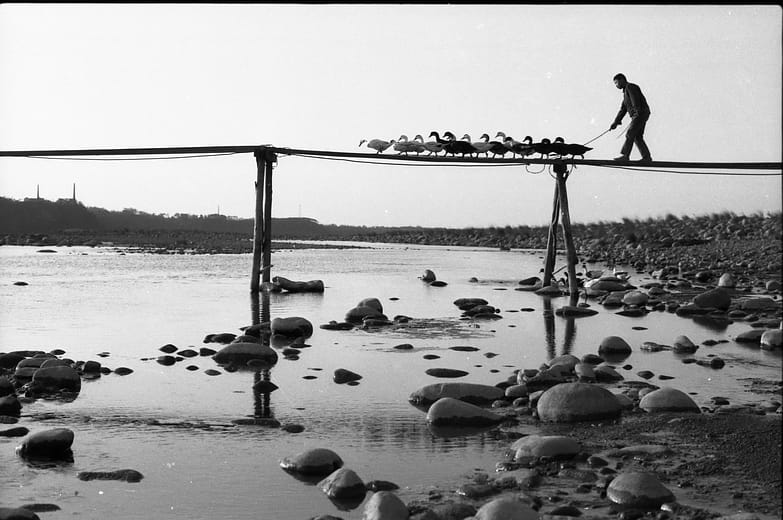 過橋／木板橋上之系列之一