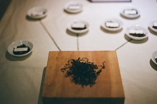 茶葉知識體驗區1