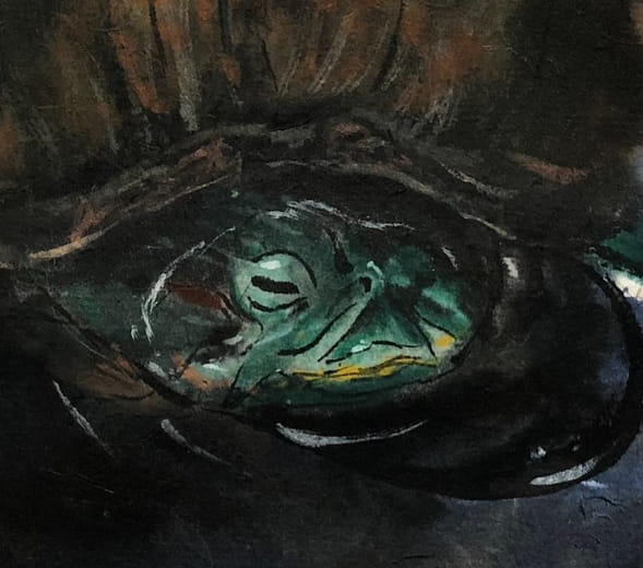 《白沙湖的龜》