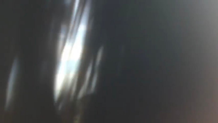 星期六下午公園