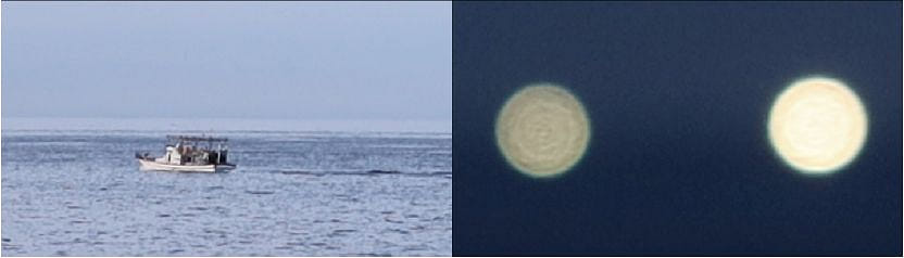 成為某處的他方