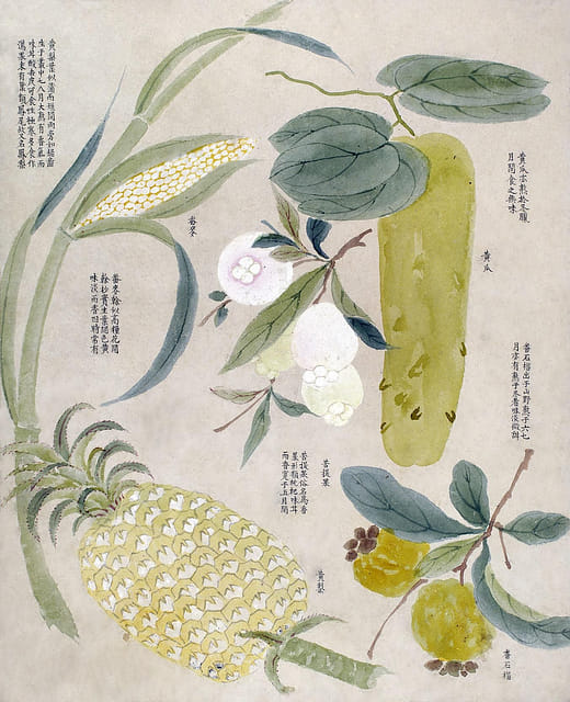 六十七兩采風圖之研究