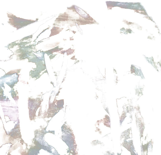 #吳迺菲#雲想#盧惟中#泡泡外面很危險