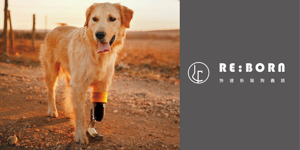 RE:BORN-快速拆裝狗義肢